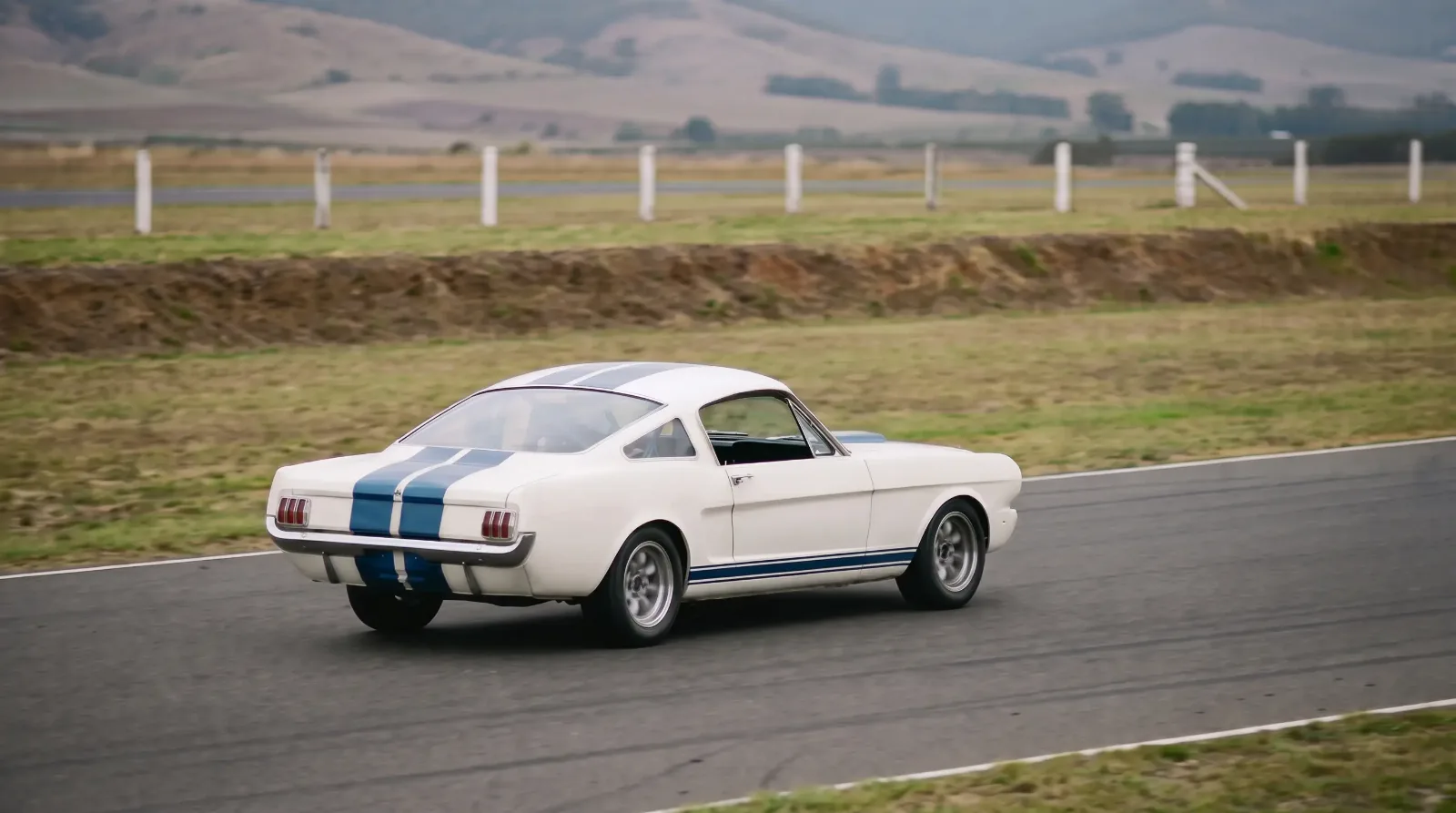 1965 Shelby GT350R, at speed on a circuit