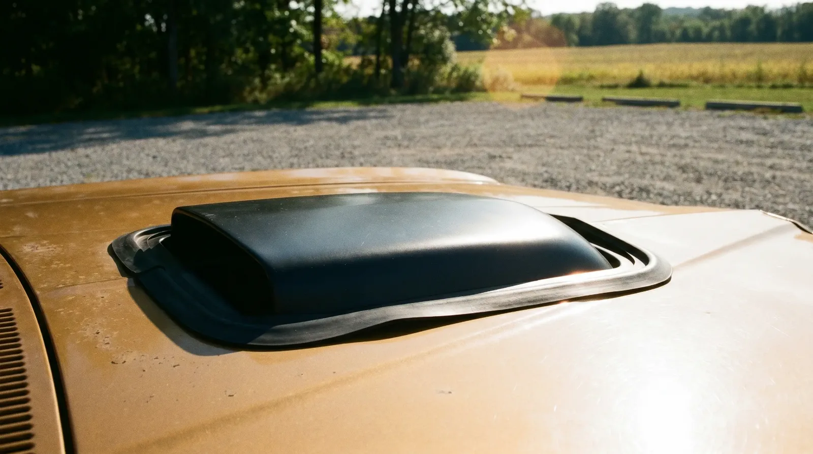 1974 GTO black Shaker scoop on hood