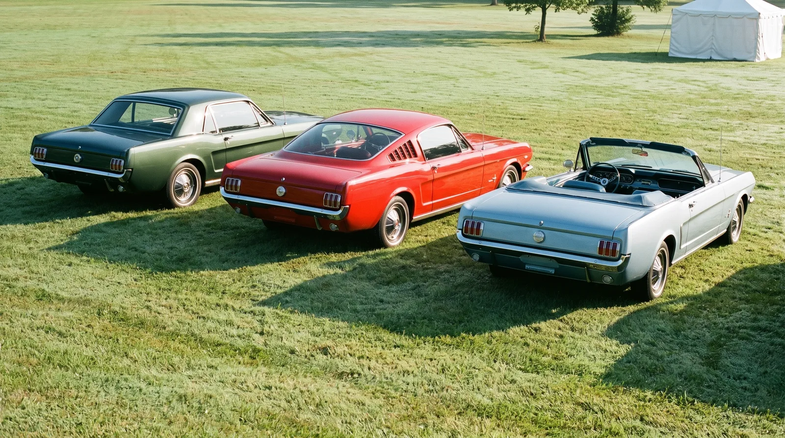 Three 1965 Ford Mustangs, hardtop, fastback and convertible on grass