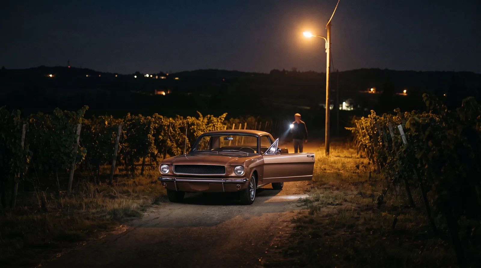 1965 Ford Mustang coupe, paint-code check on a vineyard lane at night