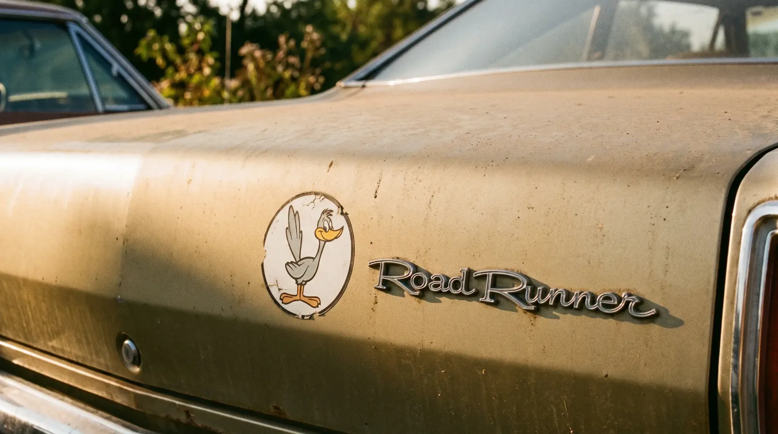 Classic Plymouth Road Runner cartoon bird decal and badging close-up
