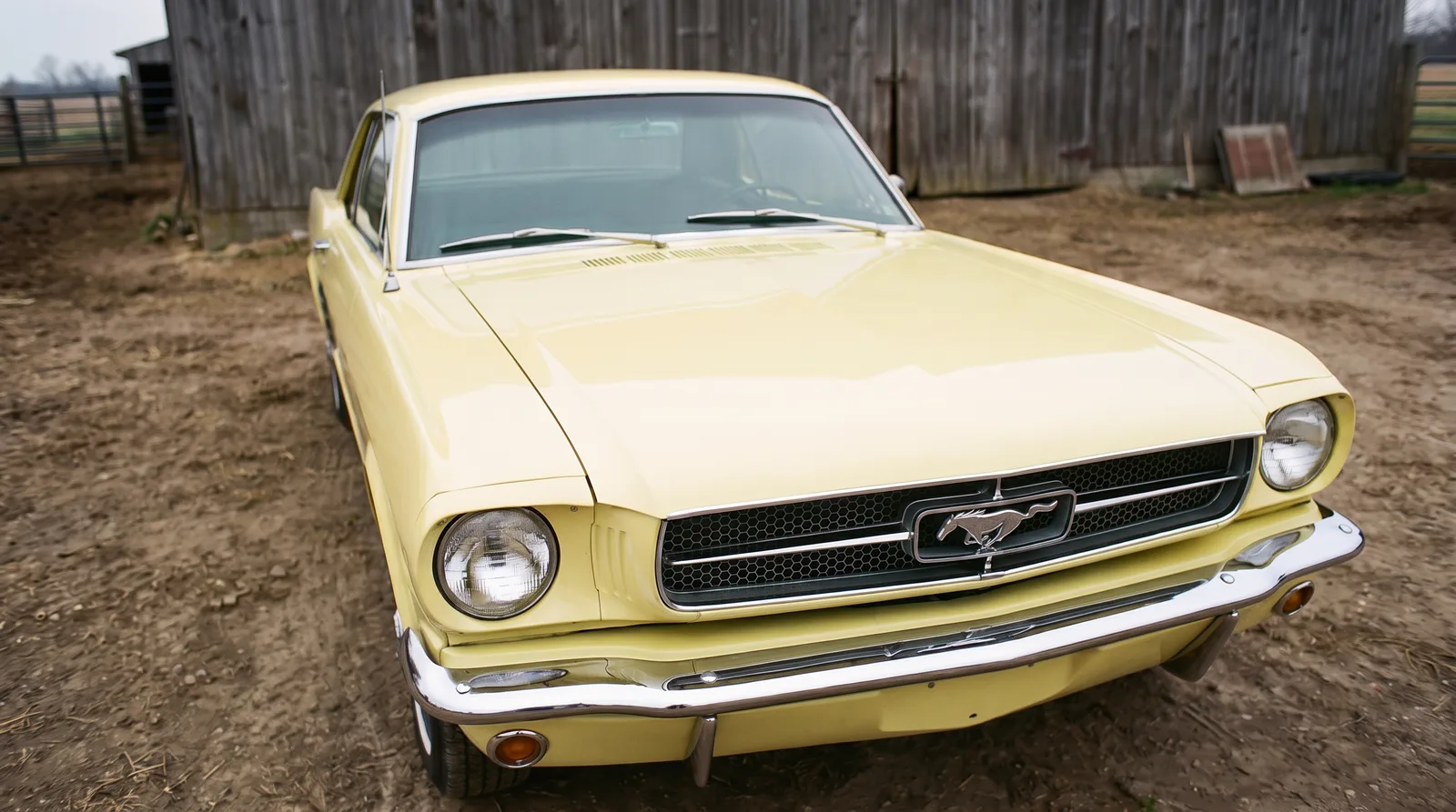 The Pony Emblem and the Mustang Logo Story