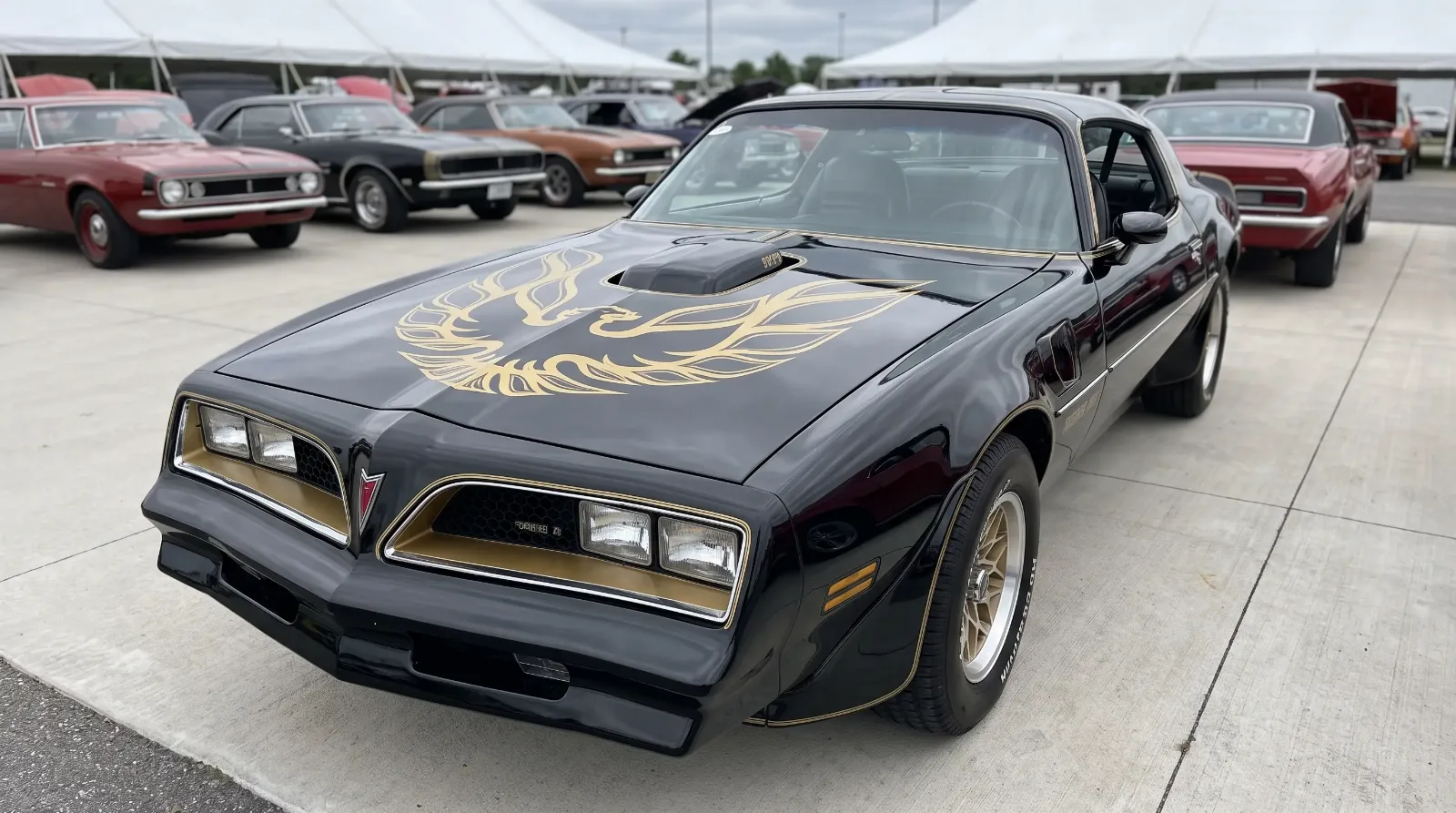 Black and gold 1977 Pontiac Trans Am with screaming chicken hood decal parked at a classic car show