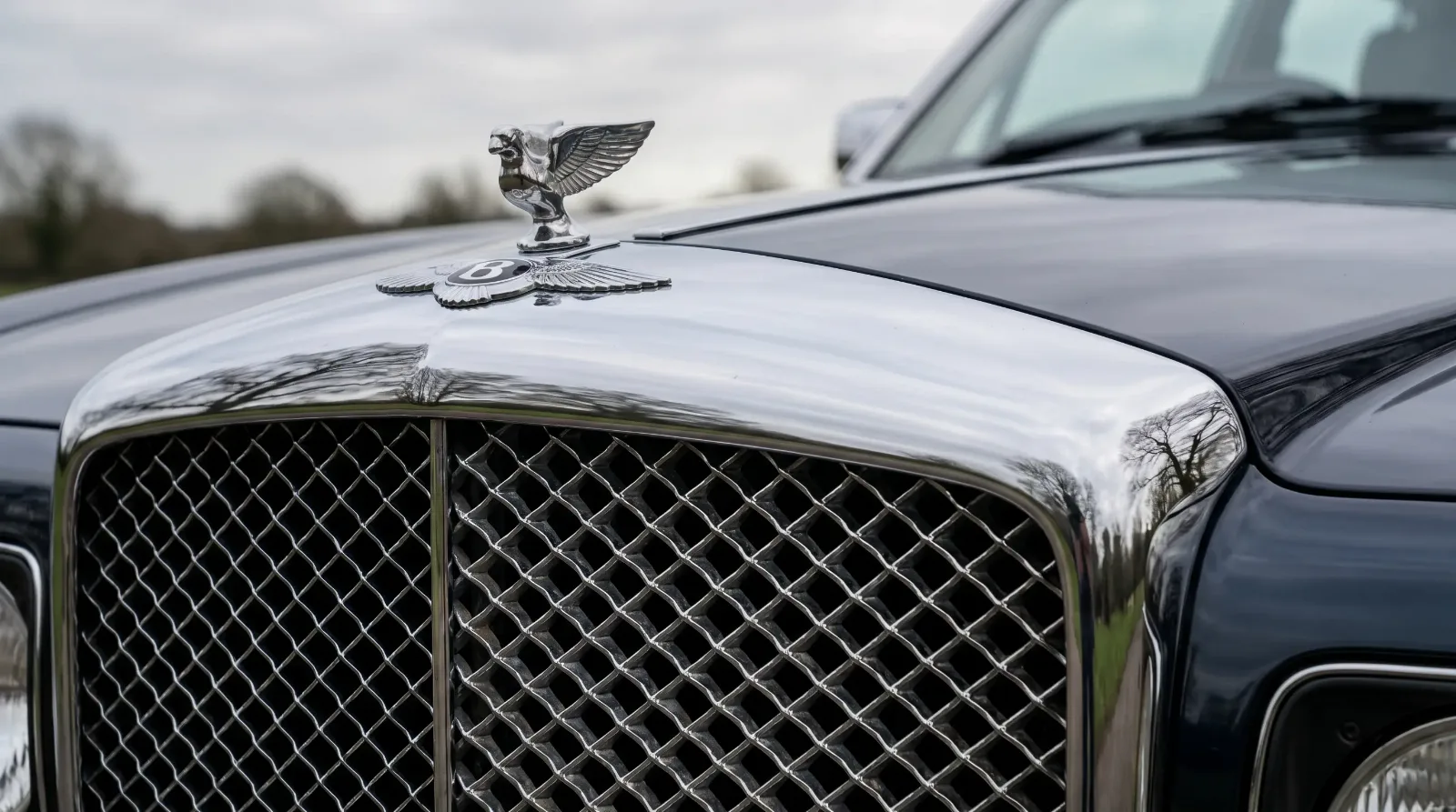 Bentley matrix radiator grille and winged B badge