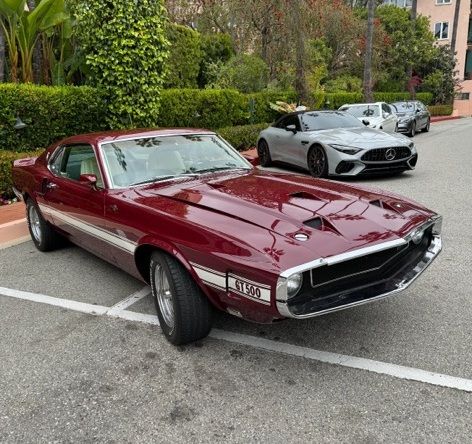 1969 Ford Shelby