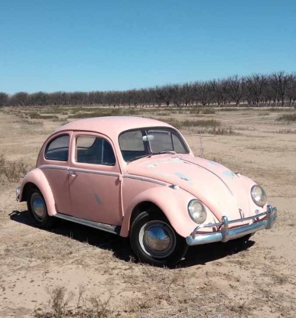 1964 Volkswagen Beetle