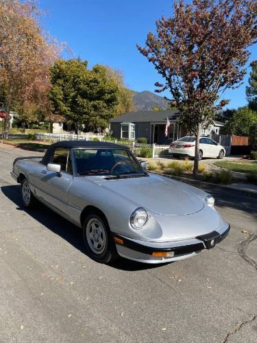1985 Alfa Romeo Spider