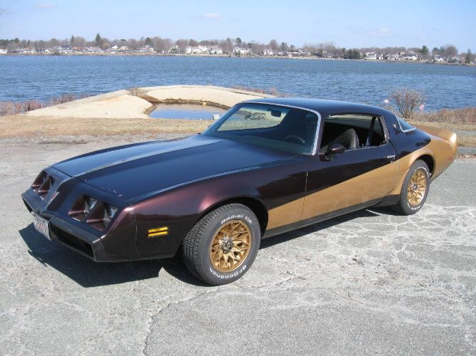 1981 Pontiac Firebird