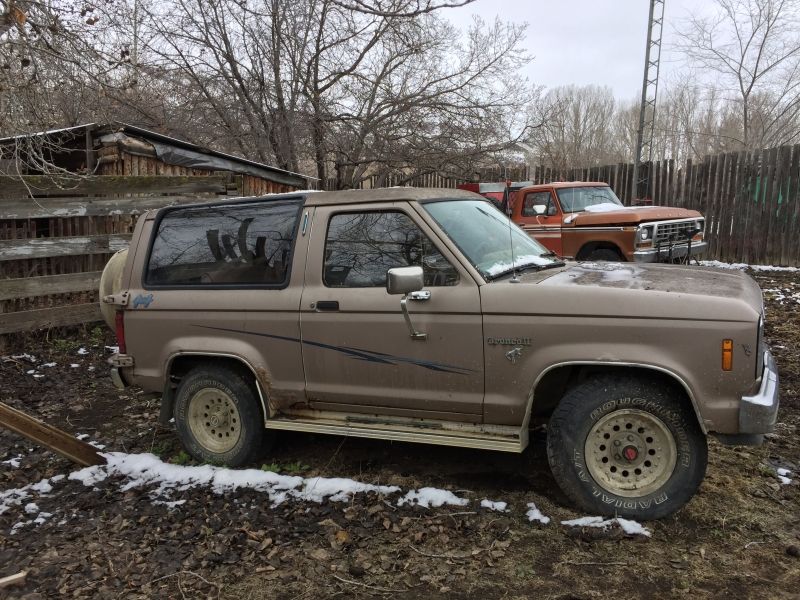1984 Ford Bronco
