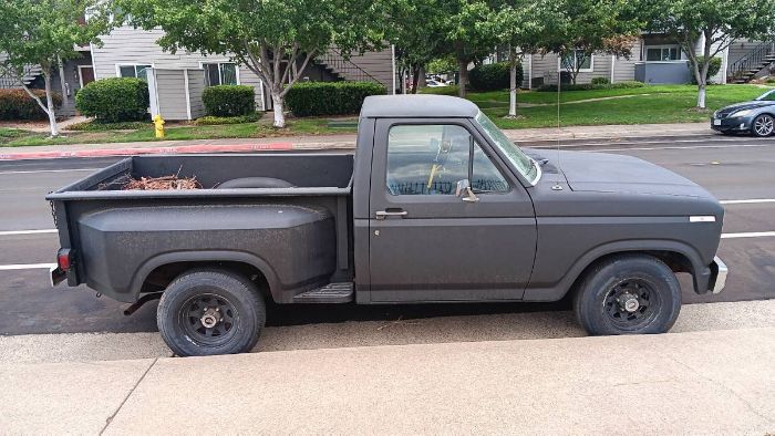 1980 Ford F100