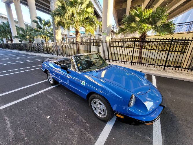 1986 Alfa Romeo Spider