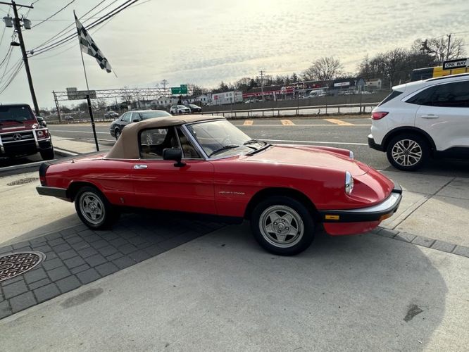 1983 Alfa Romeo Spider