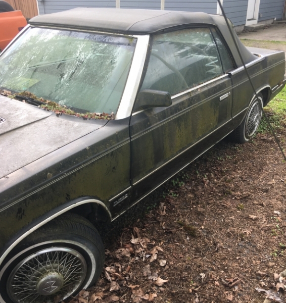 1984 Chrysler LeBaron