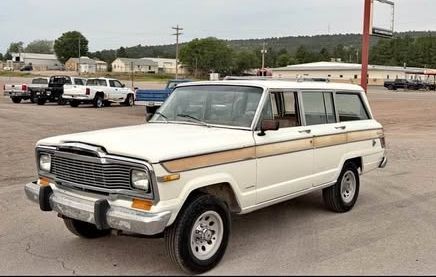 1979 Jeep Grand Wagoneer