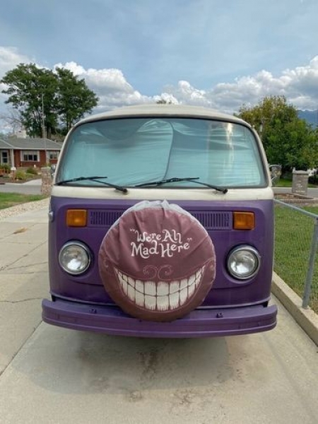 1973 Volkswagen Bus