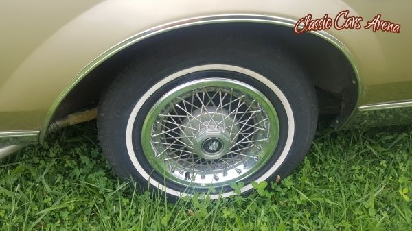 1981 Buick Regal