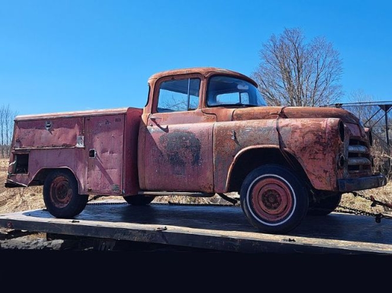 1965 Dodge D100