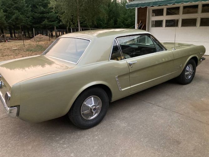 1965 Ford Mustang