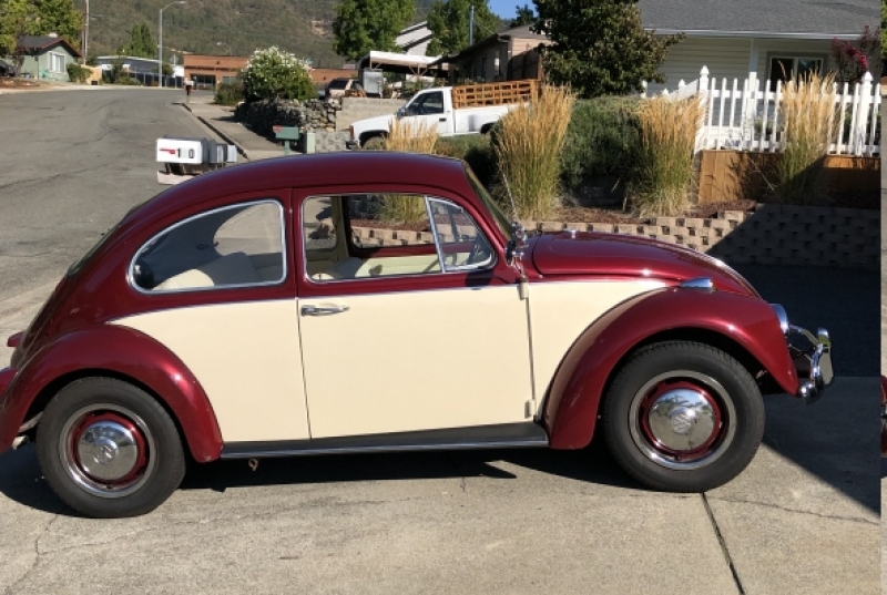 1967 Volkswagen Beetle