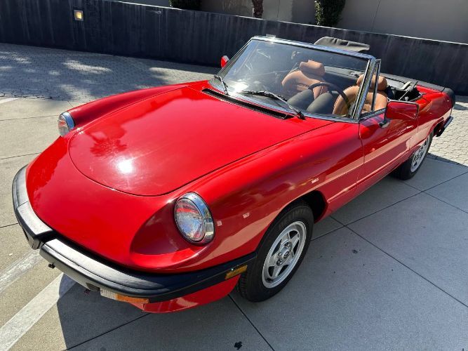 1986 Alfa Romeo Spider