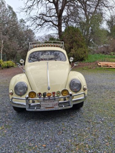 1955 Volkswagen Beetle