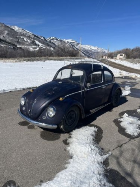 1963 Volkswagen Beetle