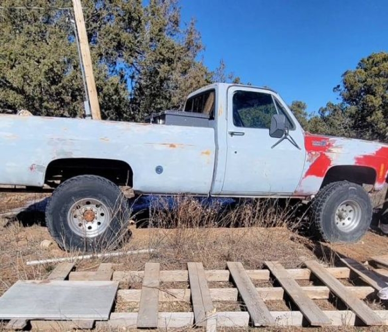 1976 Chevrolet C20