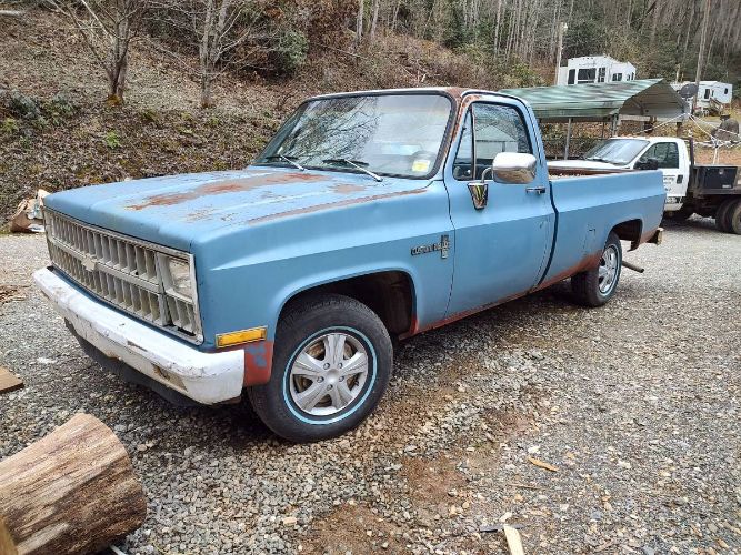 1981 Chevrolet Deluxe