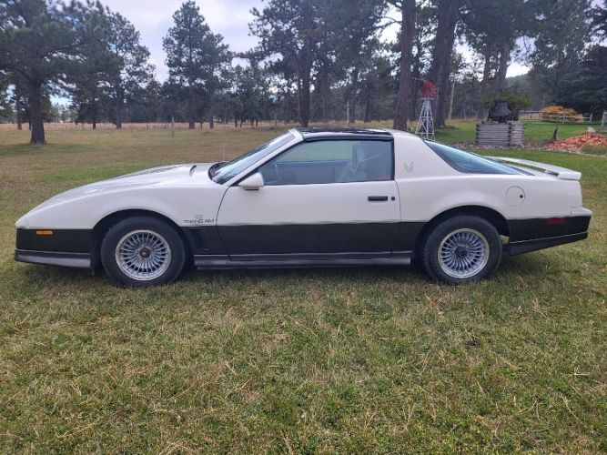1983 Pontiac Firebird