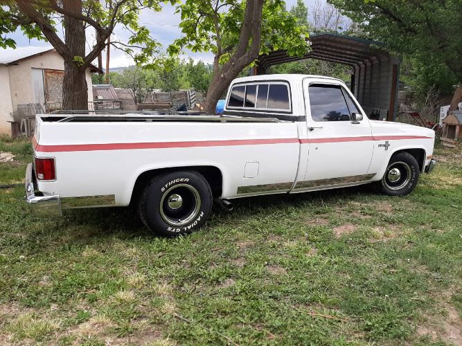 1981 Chevrolet C/K Series