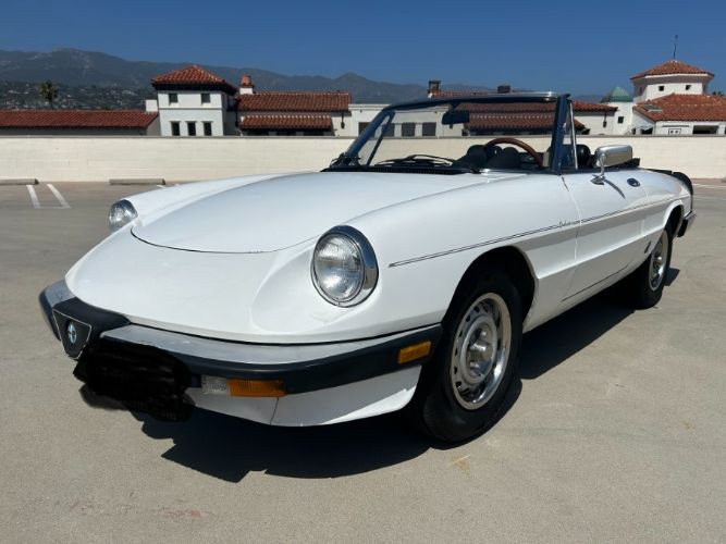 1985 Alfa Romeo Spider